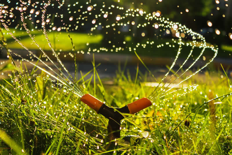 ¿Debería instalar riego por aspersión en mi jardín?