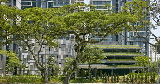 Arquitectura Singapur