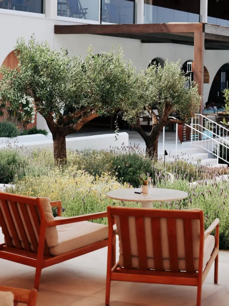 Paisajista para hoteles: transformación de espacios con elegancia y estilo