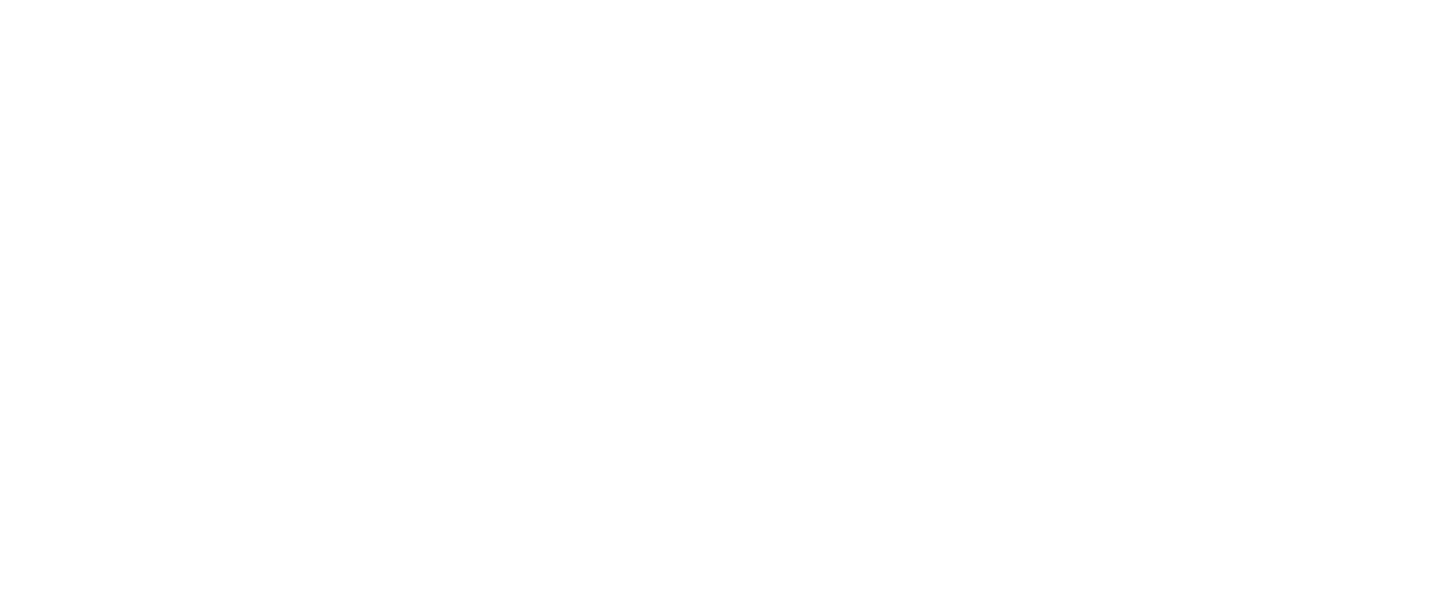 Montenegro Brokers Logo