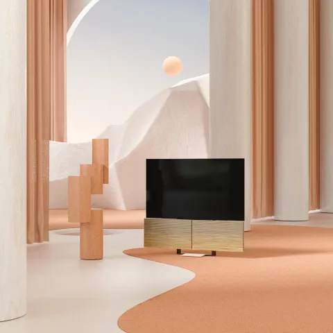 Bang & Olufsen Beovision Harmony