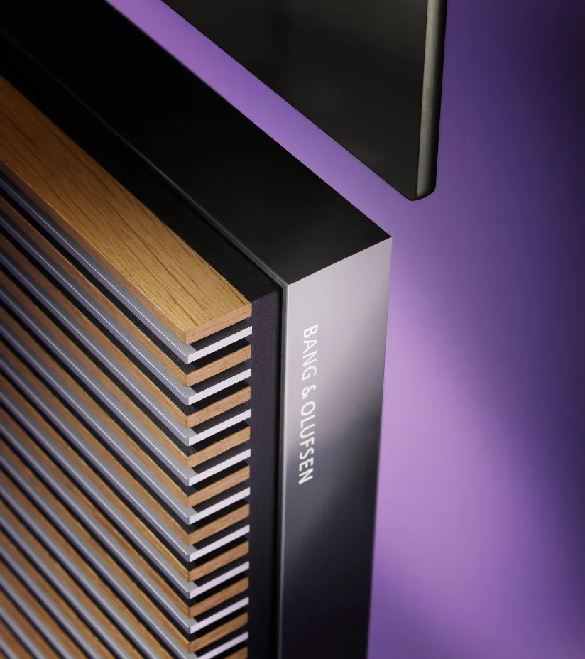 Bang & Olufsen Beovision Harmony